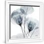 Gramercy White