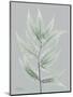 Wood Mount