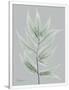 Gramercy White