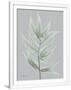 Gramercy White