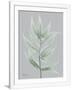 Gramercy White