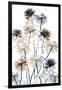 Gramercy Black