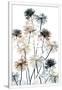 Gramercy White