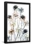 Essential Black