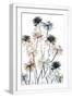 White Frame
