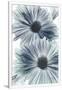 Gramercy White