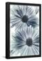 Essential Black