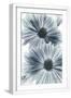 White Frame
