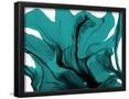 Essential Black