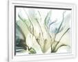 Gramercy White