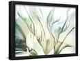 Essential Black