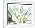 Gramercy White