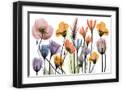 Black Frame