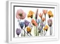 White Frame