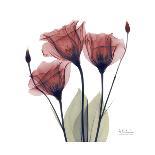 Lily of the Valley-Albert Koetsier-Art Print