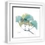 White Frame