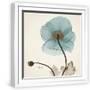 White Frame