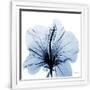 Gramercy White