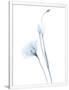 Gramercy White