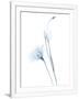 Gramercy White