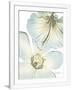 Gramercy White