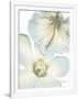 Gramercy White