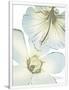 Gramercy White