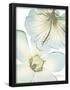 Essential Black