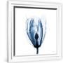 Gramercy White