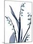 Wood Mount
