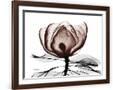 Gramercy Espresso