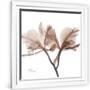 Gramercy White
