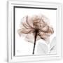 Gramercy White