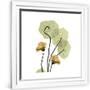 Gramercy White