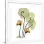 Gramercy White