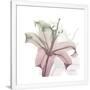 Gramercy White