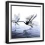 Black Frame