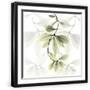 Black Frame