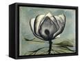 Canvas Black