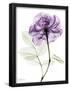 Essential Black
