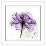 Gallery Pops White Frame