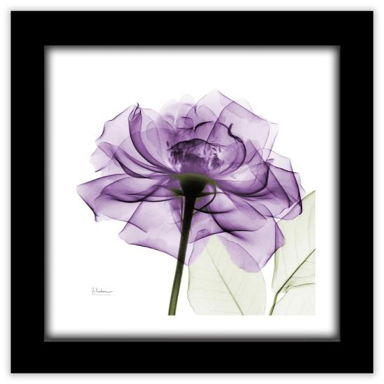 Gallery Pops, , large