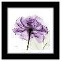 Gallery Pops Black Frame