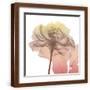Brown Frame