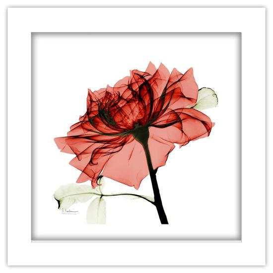 Gallery Pops, , large