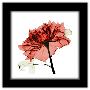 Gallery Pops Black Frame
