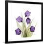Gramercy Black