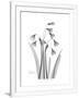 Gramercy White
