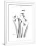 Gramercy White