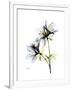 Gramercy White